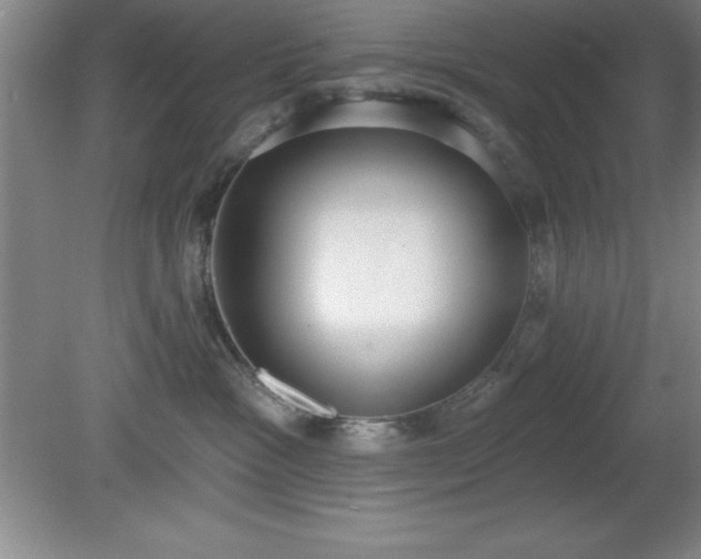 X0000081380333200701182212