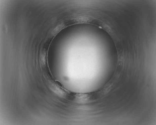 X0000081380334200701182212