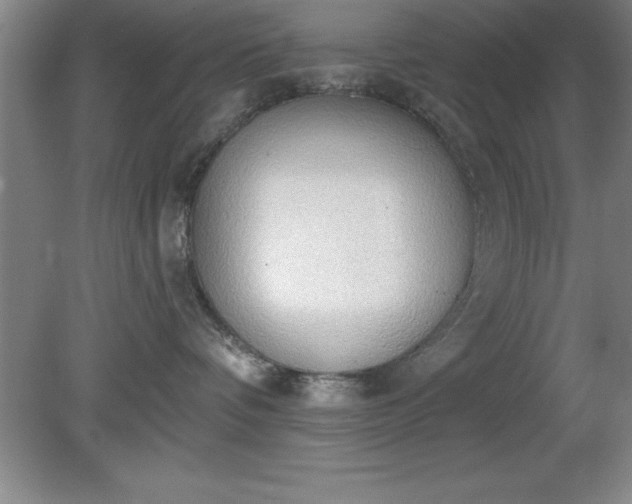 X0000081380336200701182212