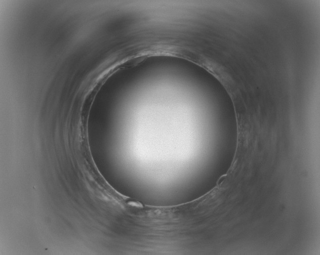 X0000081380338200701182211