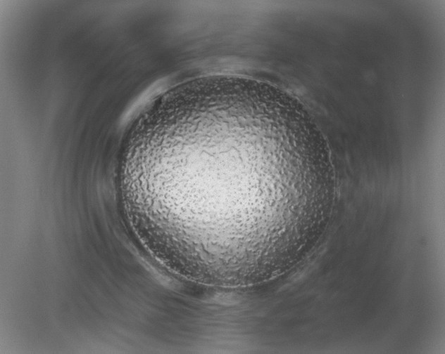 X0000081380341200701182211