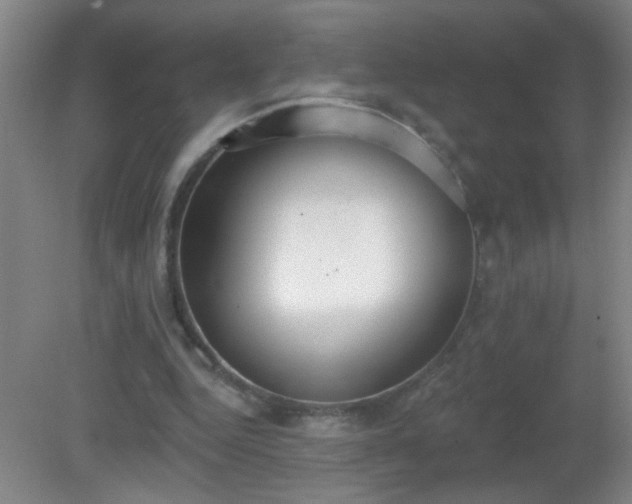 X0000081380344200701182211