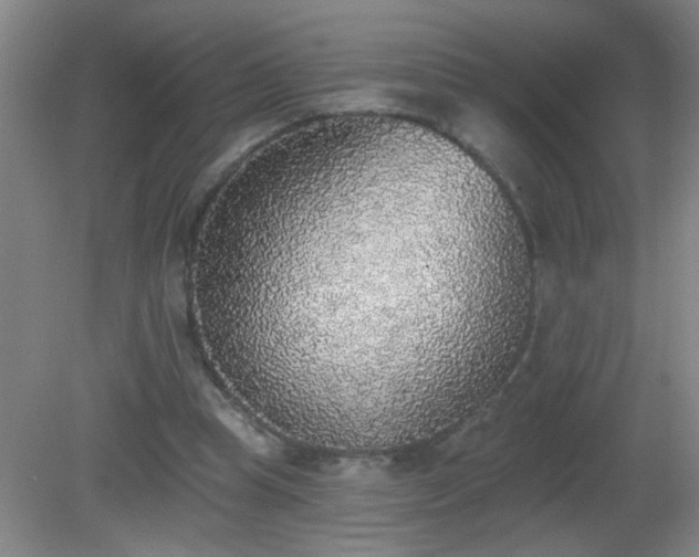 X0000081380345200701182211