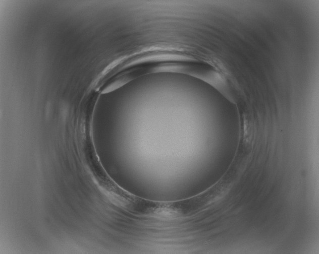 X0000081380348200701182211
