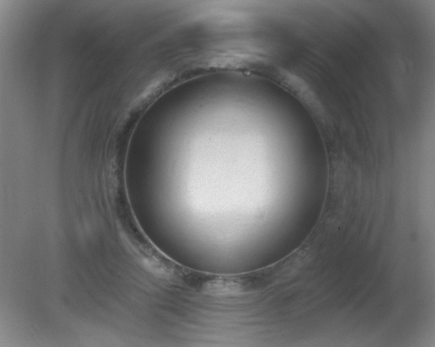 X0000081380354200701182211