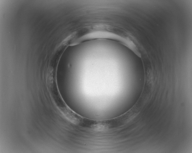 X0000081380356200701182211