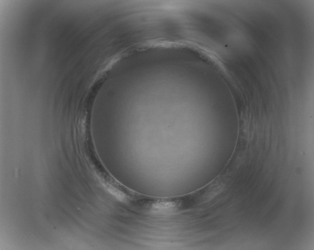 X0000081380357200701182211