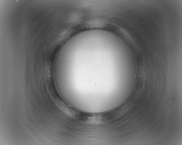 X0000081380362200701182211