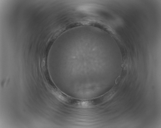 X0000081380365200701182211