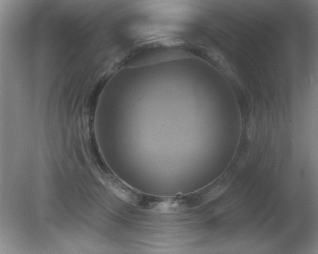 X0000081380366200701182211