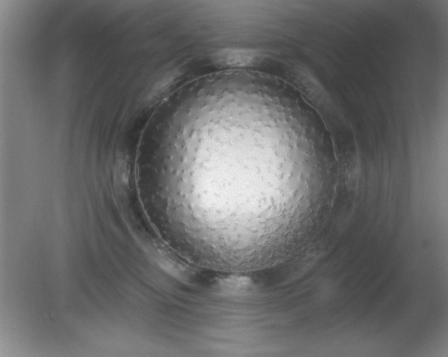 X0000081380374200701182212