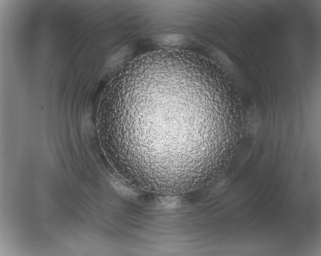 X0000081380377200701182212