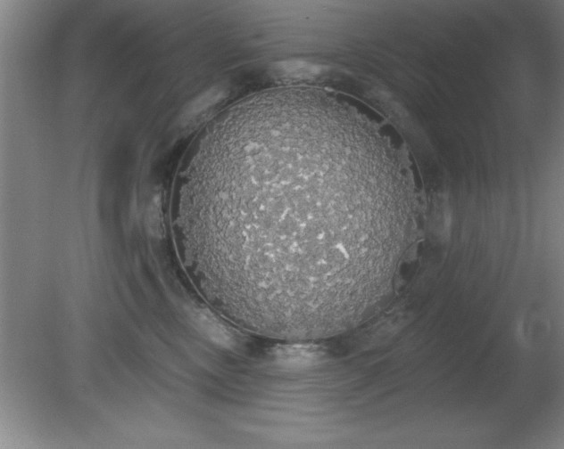 X0000081380378200701182212