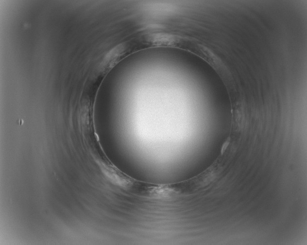 X0000081380379200701182212