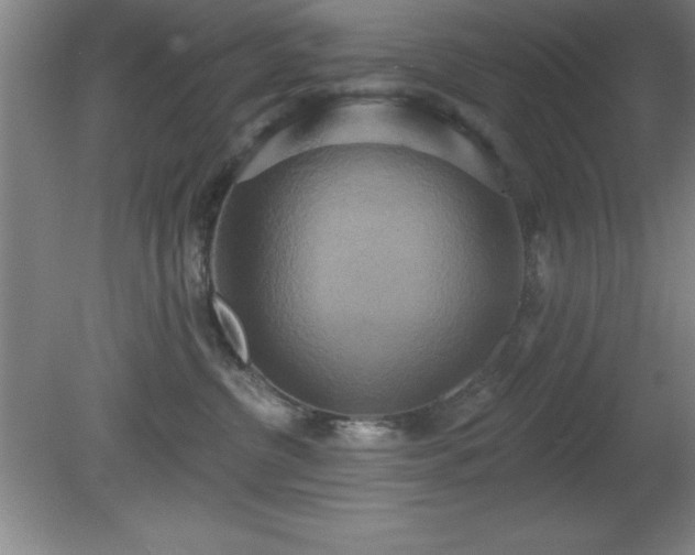X0000081380380200701182212