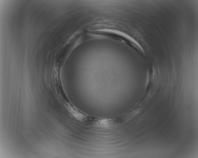 X0000081380382200701182212