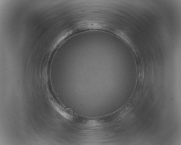 X0000081380390200701182211