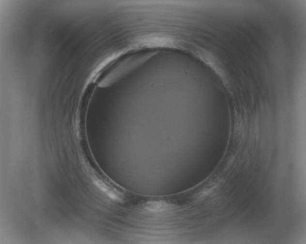 X0000081380391200701182211