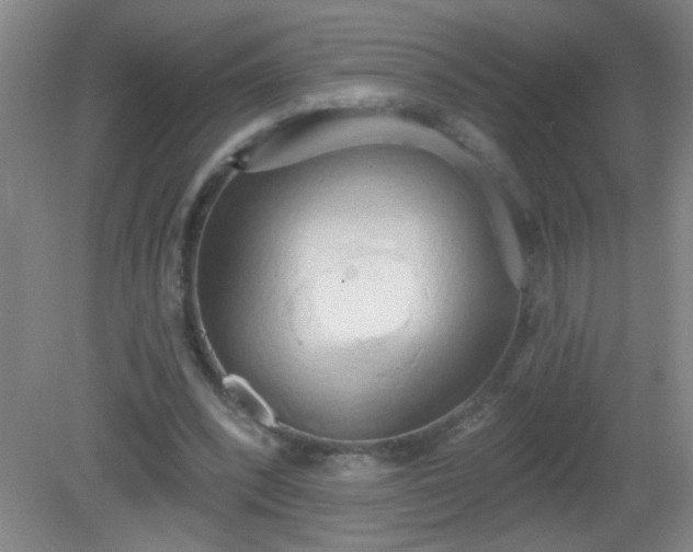 X0000081380392200701182211