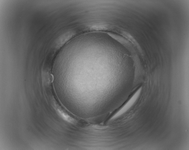 X0000081380393200701182211