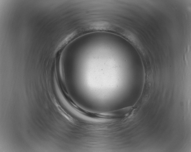 X0000081380397200701182211