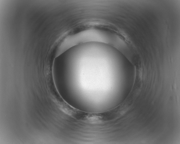X0000081380407200701182211