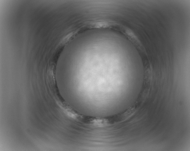 X0000081380415200701182210