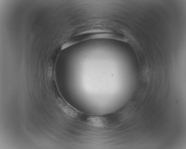 X0000081380417200701182210