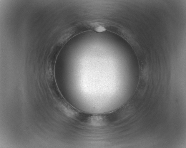 X0000081380418200701182210