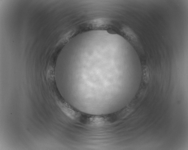 X0000081380419200701182210