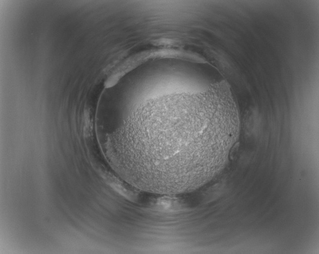 X0000081380420200701182210