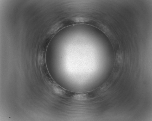 X0000081380422200701182210