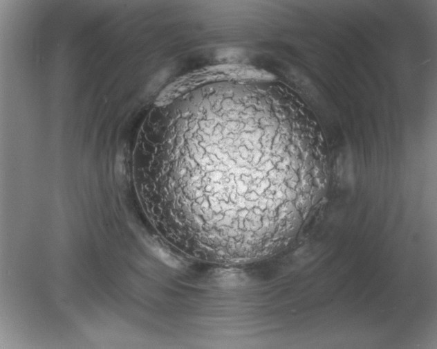 X0000081380424200701182210