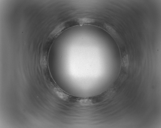 X0000081380426200701182210