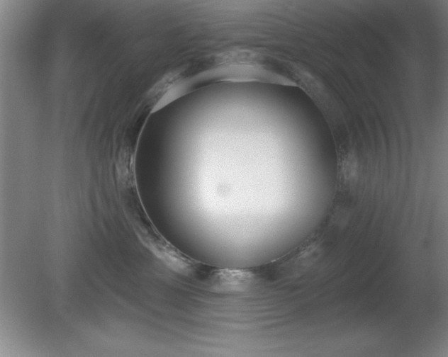 X0000081380429200701182210