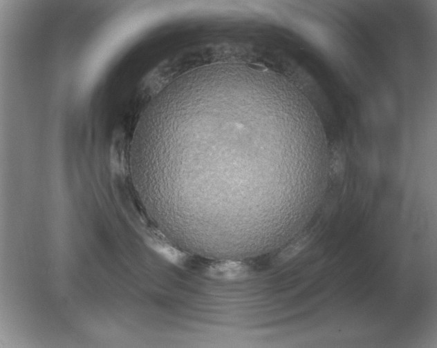 X0000081380431200701182210