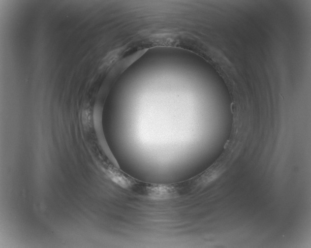 X0000081380432200701182210