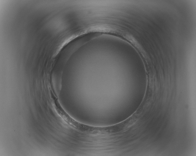 X0000081380434200701182209