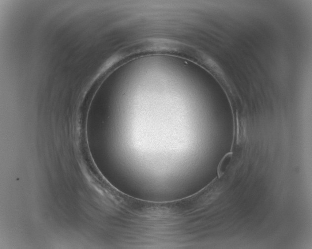 X0000081380435200701182209