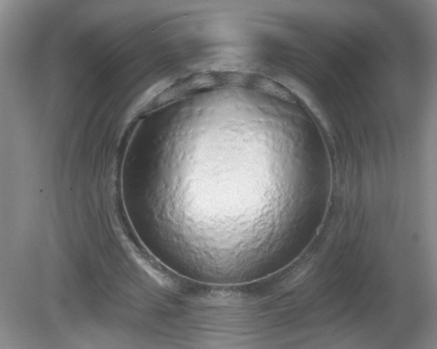 X0000081380437200701182209