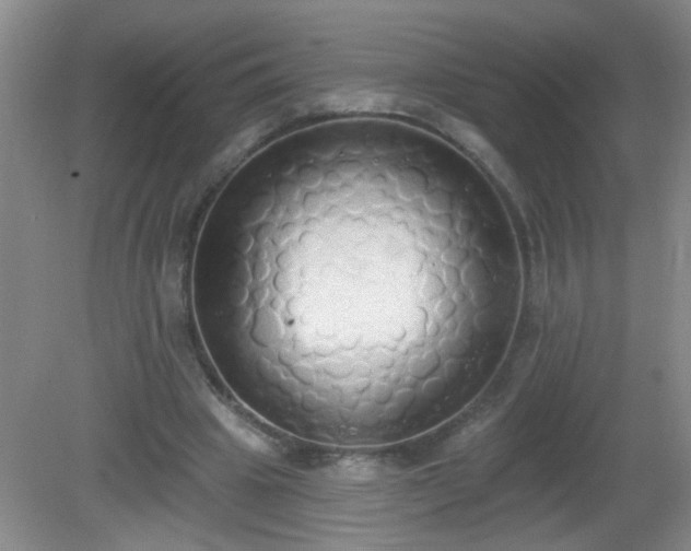 X0000081380441200701182210