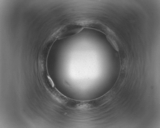 X0000081380452200701182210