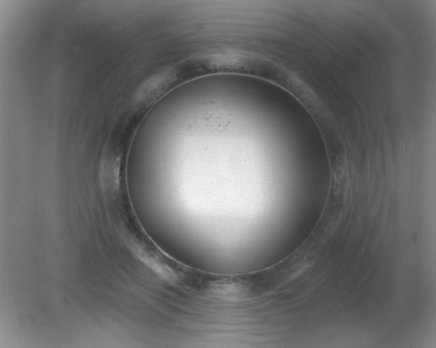 X0000081380454200701182210