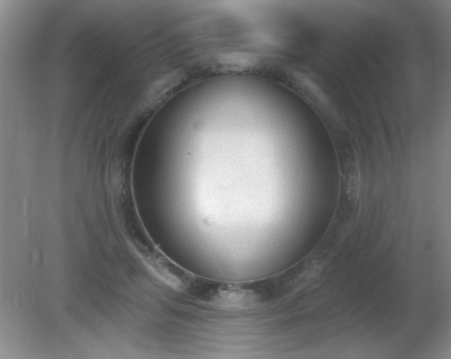 X0000081380455200701182210