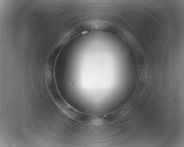 X0000081380456200701182210