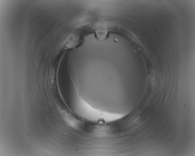 X0000081380458200701182210