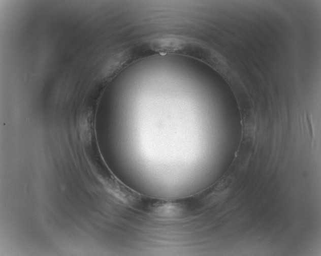 X0000081380460200701182210