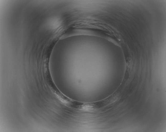 X0000081380462200701182210