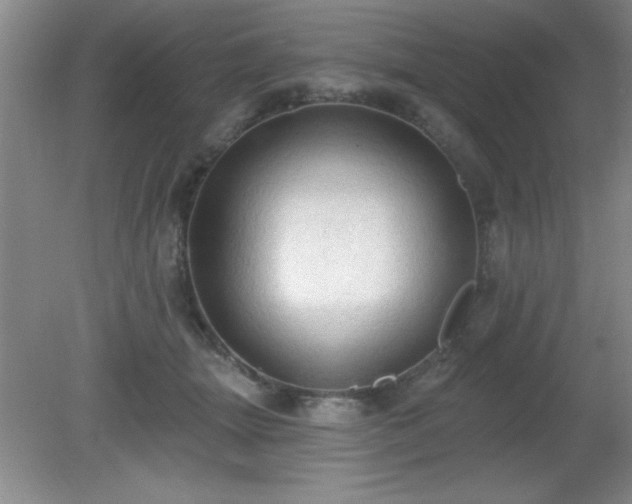 X0000081380463200701182210