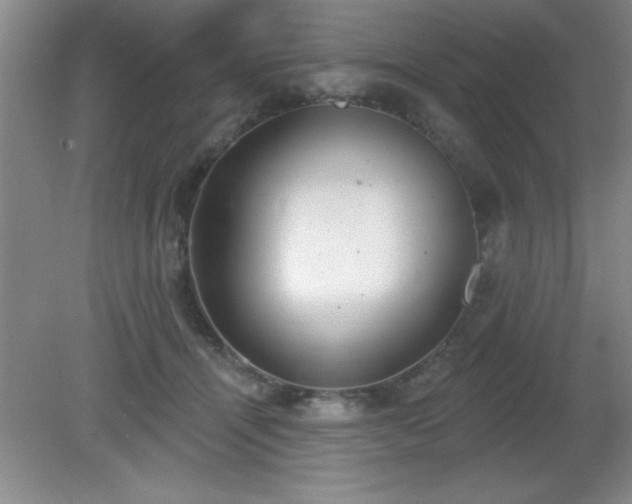 X0000081380464200701182210